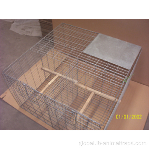 Live Animal Cage Trap rat mice trap cage humane live animal traps Manufactory